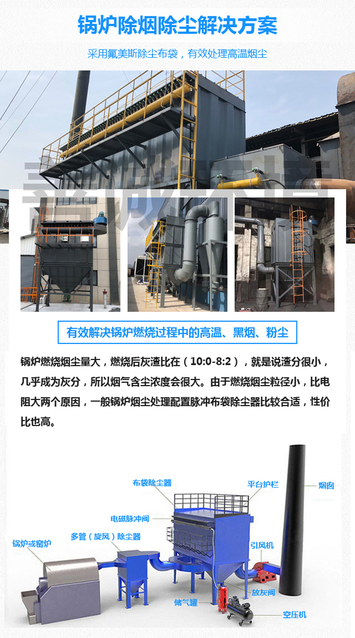十噸鍋爐除塵器(圖1)